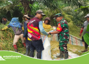Babinsa Koramil 07/Bosar Maligas Dampingi Panen Padi Warga Untuk Perkuat Ketahanan Pangan di Ujung Padang