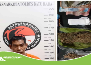 Satresnarkoba Polres Batu Bara Gulung Pengedar Ganja di Medang Deras, Sita Puluhan Gram Barang Bukti